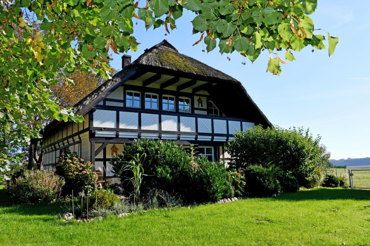ברגן Reetdachfachwerkvilla Am Wiesengrund מראה חיצוני תמונה